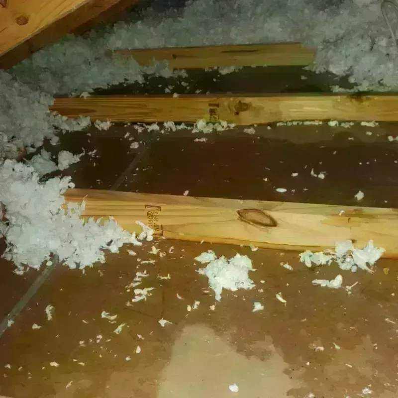 Attic Water Damage in Garden County, NE