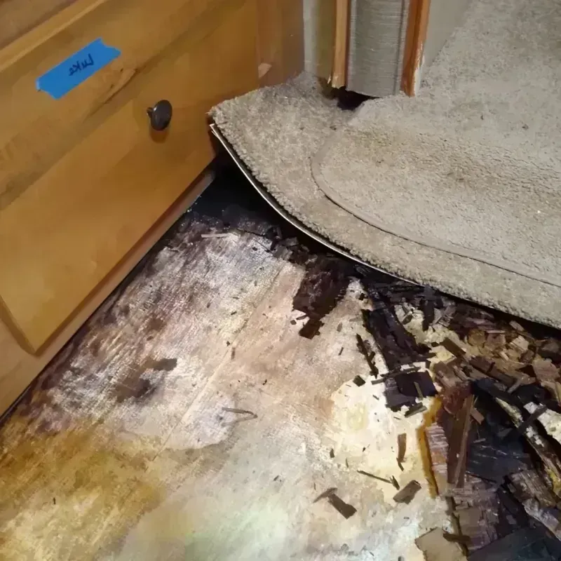 Wood Floor Water Damage in Garden County, NE